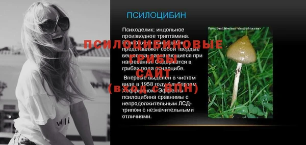 МДПВ Михайловск