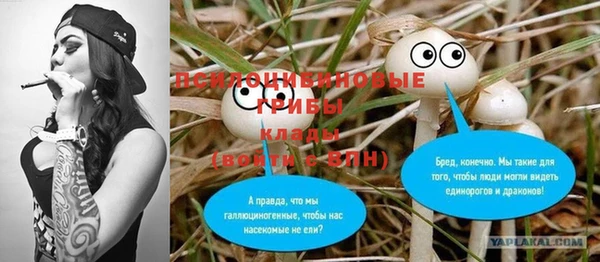 МДПВ Михайловск
