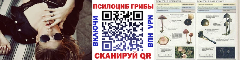 Галлюциногенные грибы Psilocybe  цены наркотик  Чердынь 